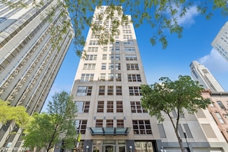 1035 N Dearborn St Unit 5W, Chicago, IL 60610
