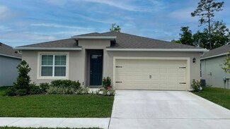 3439 Lounging Wren Ln, Bartow, FL 33830