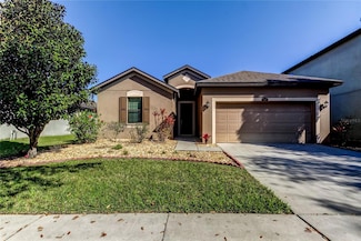 869 Vino Verde Cir, Brandon, FL 33511