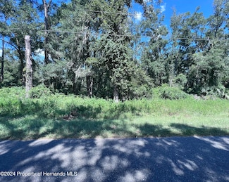 00 NW 90 Ct, Fanning Springs, FL 32693