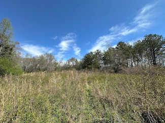 0 County Road 47, Goshen, AL 36035