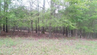 13 Forest Lake Dr, Lincolnton, GA 30817