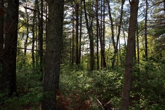 215 York St, Pine River, MN 56474