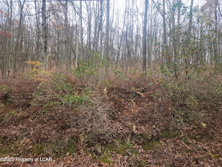 1212 Woodhaven Dr, Hickory Hills, PA 18661