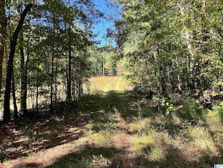 1129 Highway 467 Unit Parcel 3, Vincent, AL 35178