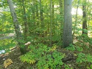 00 Turkey St, Tamworth, NH 03886