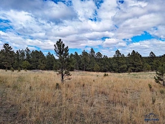 TBD Lot 2 Argyle Rd, Hot Springs, SD 57747