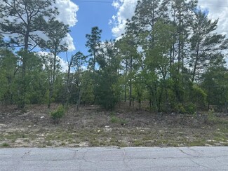 2984 W Liza Place, Citrus Springs, FL 34433