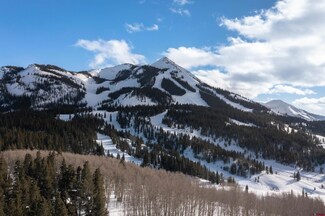 E42 Prospect Dr, Mount Crested Butte, CO 81225
