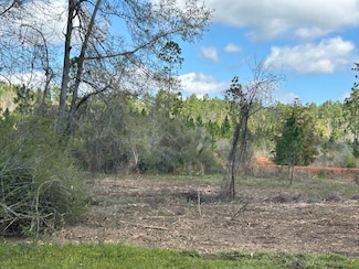 TBD Highway 4, Baker, FL 32531