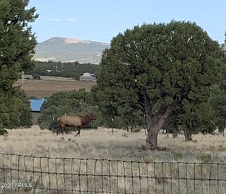 842 Vernon County Rd, Vernon, AZ 85940