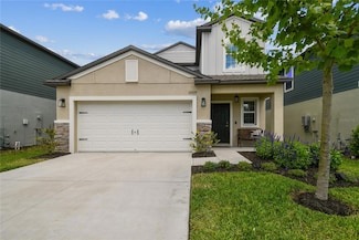 22229 Storybook Cabin Way, Land O Lakes, FL 34637