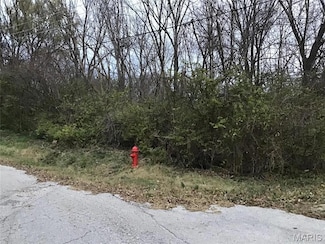 456 Highway M, Villa Ridge, MO 63089