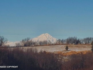 17693 Chefornak St, Happy Valley, AK 99639