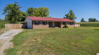11512 State Route 80 E, Fancy Farm, KY 42039