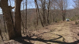 Lot 2 Grand View Dr, Meadows Dan, VA 24120