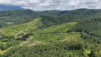 100 Mountain Field Ln, Burnsville, NC 28714