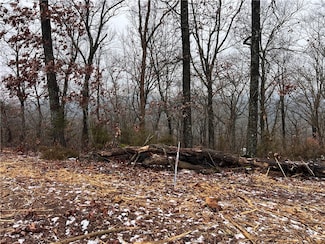 31 Skyview Ln, Holiday Island, AR 72631