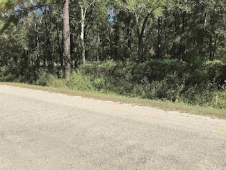 0 Quinn Ave, Hastings, FL 32145