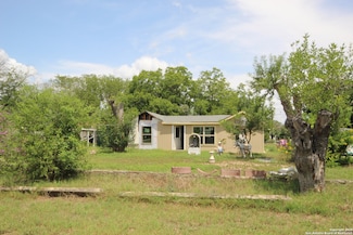 15911 Brewster St, Lacoste, TX 78039