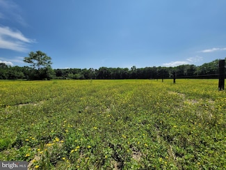 311 Hatchett Rd, Centreville, MD 21617
