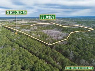 0 Dennis Creek Rd Unit 22337227, Talbotton, GA 31827