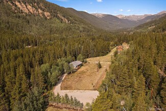 3938 County Road 60, Grant, CO 80448