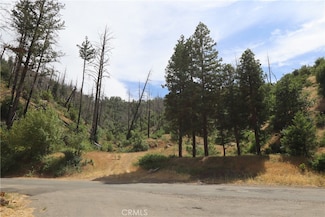 11231 Anderson Springs Rd, Middletown, CA 95461