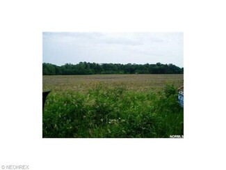 0 Old Mill Rd Unit 2 3448132, Spencer, OH 44275