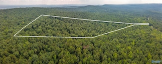 484 Lake Mary Louise, Gadsden, AL 35904