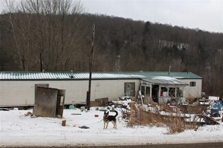 3893 Weinhauer Hill Rd, Scio, NY 14880