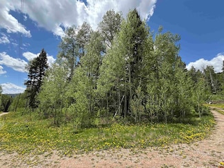 2315 Sierra Verde Dr, Durango, CO 81301
