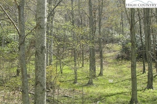 tbd Bob's Mountain Rd, Boone, NC 28607