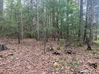 Lot 3 Asbury Trace, Lewisburg, WV 24901