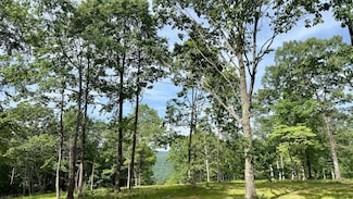 Lot 4 Hobbstown Rd, Dunlap, TN 37327