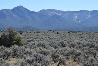 0 Cr 110 Unit 111131, Ranchos de Taos, NM 87557