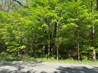 V/L Barnes Rd, Egelston Township, MI