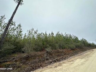 Tract 6418 Mattox Springs Rd Unit 1, Caryville, FL 32427