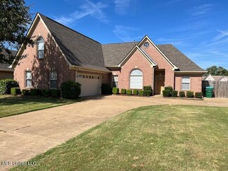 7824 Bailee Ln, Walls, MS 38680