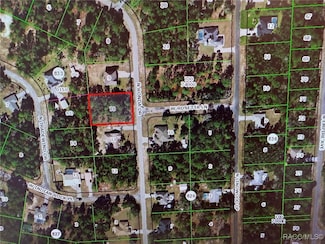 8390 N Ronda Dr, Citrus Springs, FL 34433