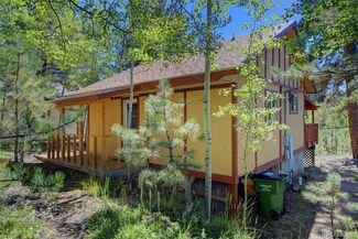 117 Tall Timber Ln, Bailey, CO 80421
