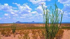 0 Unknown Unit 163310, Presidio, TX 79845