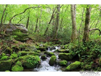 0 Berry Paul Jenkins Rd Unit NCM567784, Robbinsville, NC 28771