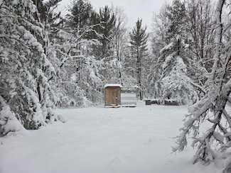 V/L Abermanis Trail, Luther, MI 49656