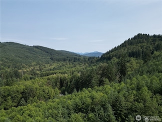 50113 146th Ave E, Eatonville, WA 98328