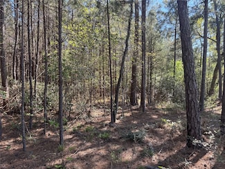 Tract 107 Texas 156, Coldspring, TX 77331