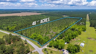 11 Sandy Ramp Rd, Defuniak Springs, FL 32433