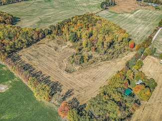 V/L Biddle Rd, Hastings, MI 49058