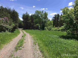 TBD County Road 496, Champion, MI 49814
