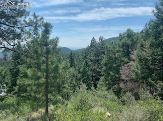 3435 Little Turkey Creek Rd, Colorado Springs, CO 80926